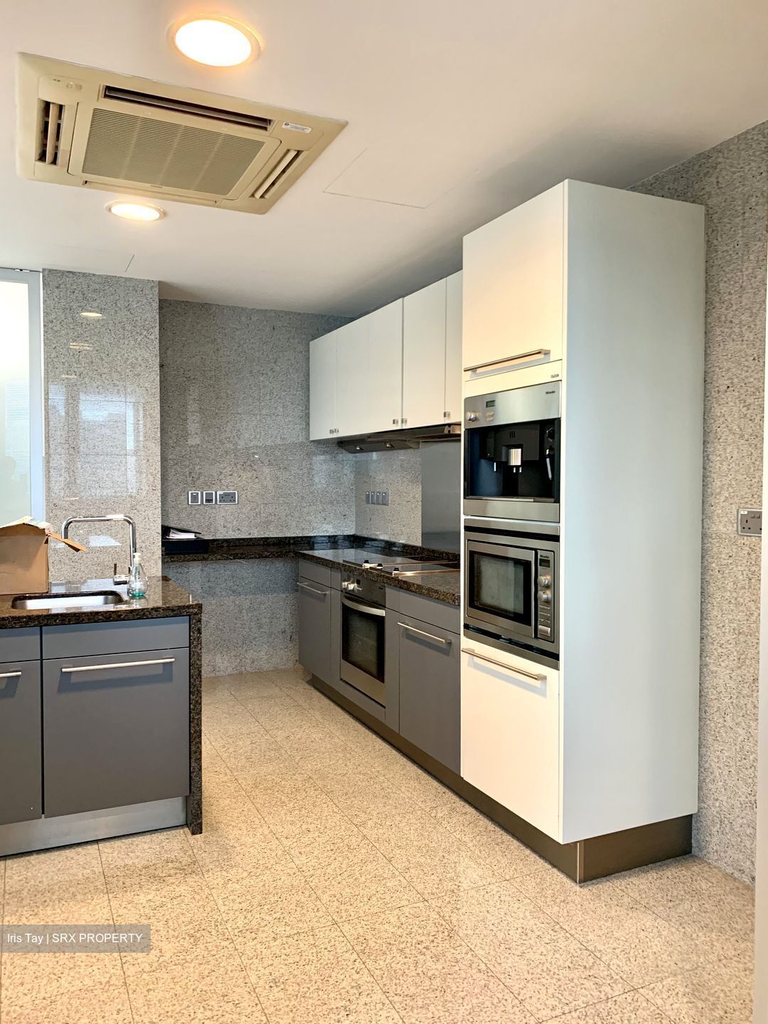 Draycott Eight (D10), Condominium #300247071